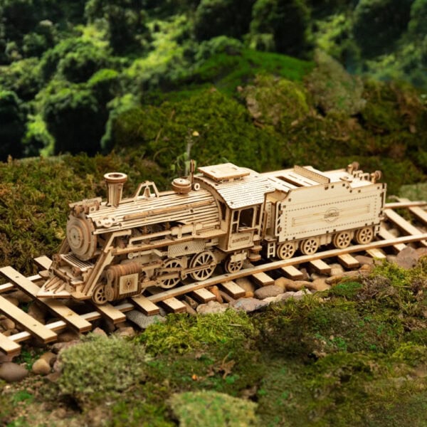 Maquette en bois train express à vapeur de premier choix