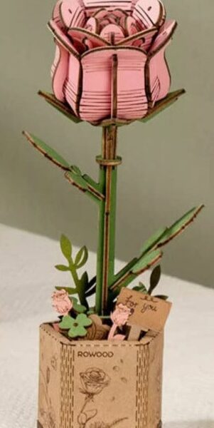 Puzzle 3d en bois Rose